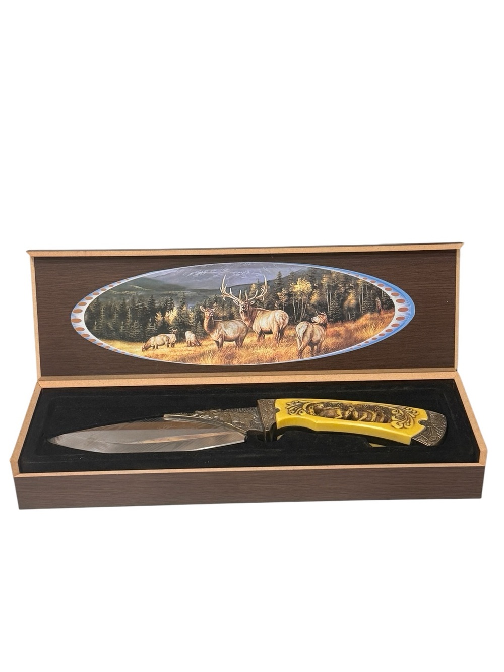 Collectors Elk Engraved Handle and Blade Knife with Display Box Commemorative